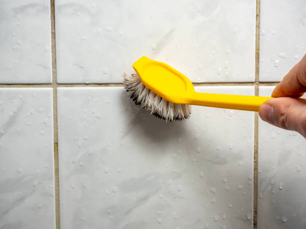 Best Mold Removal Company Near Me  in Camp Barrett, VA