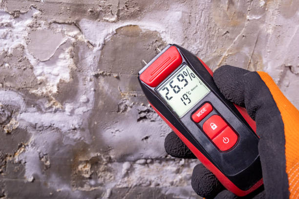 Best Fast Mold Removal  in Camp Barrett, VA