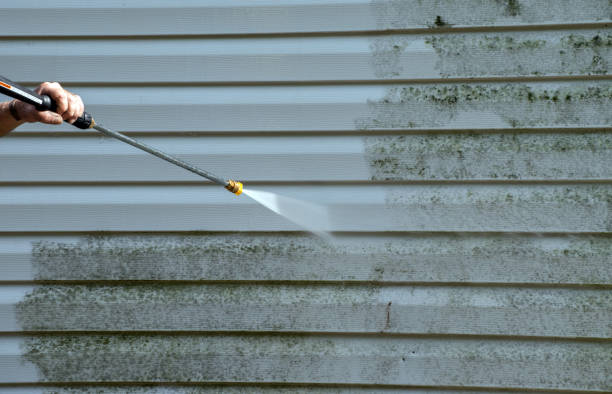 Best Residential Mold Removal  in Camp Barrett, VA