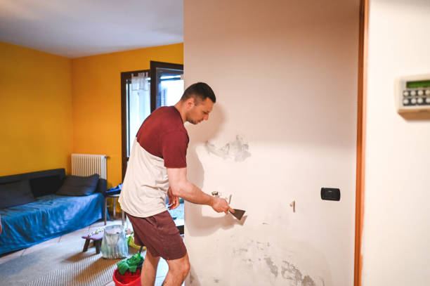 Best Home Mold Removal  in Camp Barrett, VA